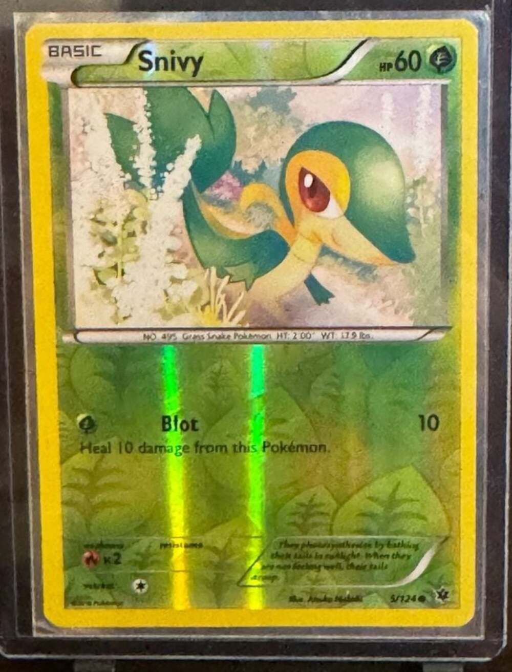 Snivy 5/124 XY Fates Collide Reverse Holo Pokemon Trading Card